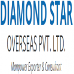 DIAMOND STAR OVERSEAS PVT. LTD.